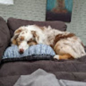 Meet your Posher, Saige